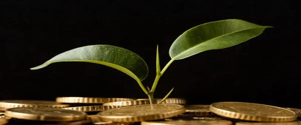private equity accounting